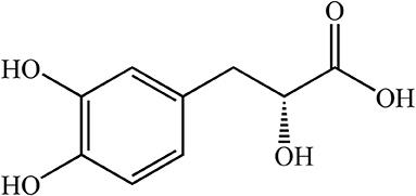 Exploring the Mechanism of Danshensu in the Treatment of Doxorubicin-Induced Cardiotoxicity Based on Network Pharmacology and Experimental Evaluation